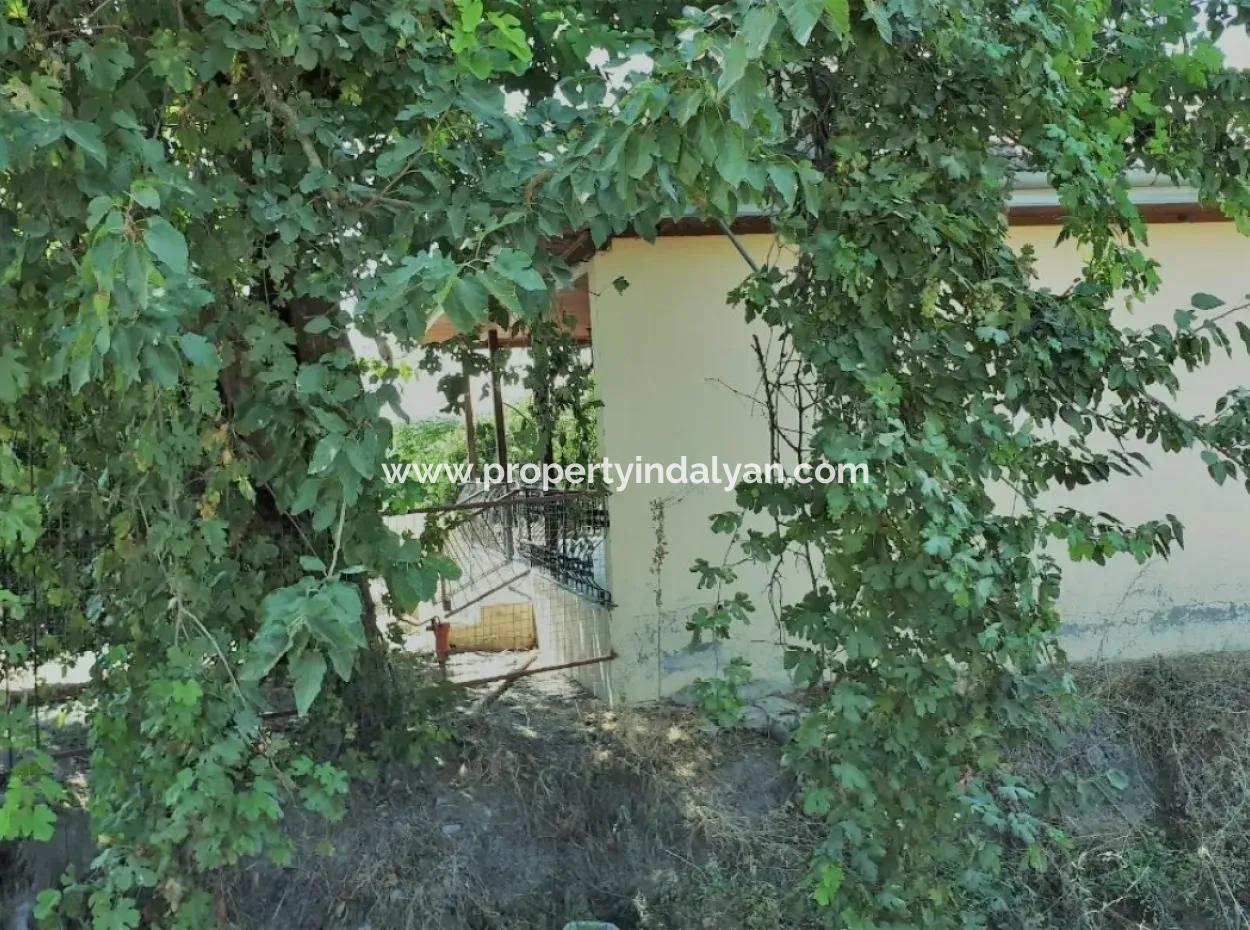 Tepearasi Schnäppchen Für Verkauf In Orange Grove