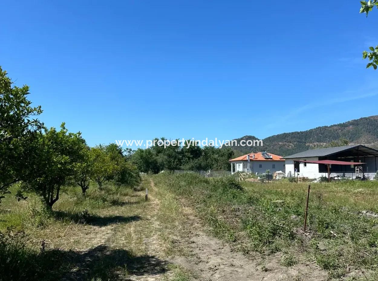 Bogenschützen Auch Zu Verkaufen 500 M2