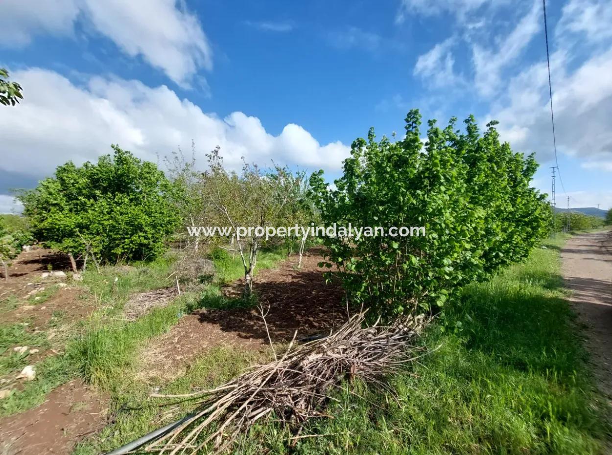 1000 M2 Grundstück In Çameli Kızılyaka, Zum Verkauf Oder Tausch Für 2 1 Wohnungen In Ortaca