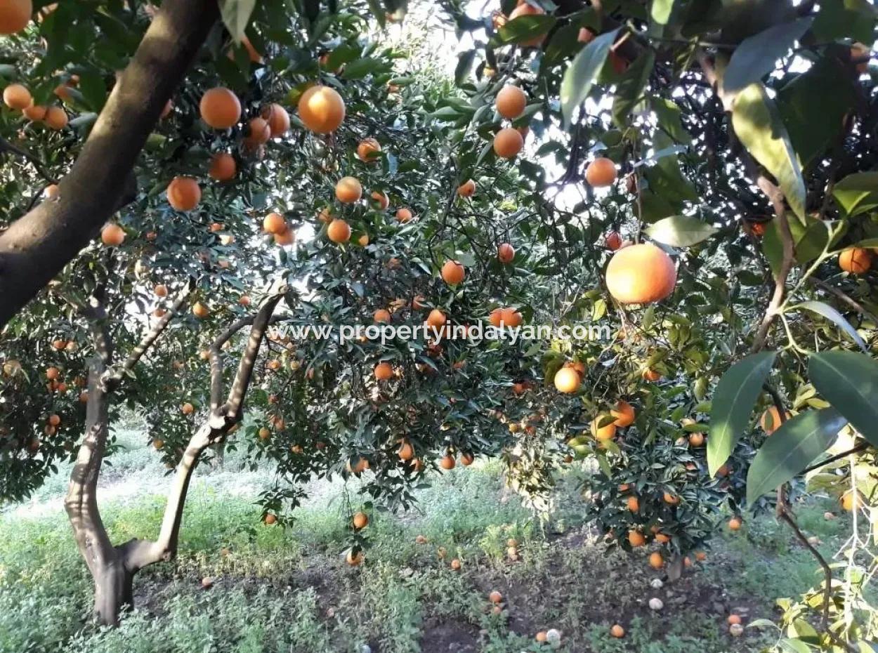 Schnäppchen Haus Im Dorf In Das Dorf Köycegiz Zum Verkauf