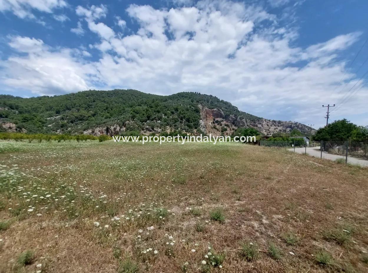 Köyceğiz Çandırda Freistehende Eigentumsurkunde 33.800 M2 Feld Zum Verkauf