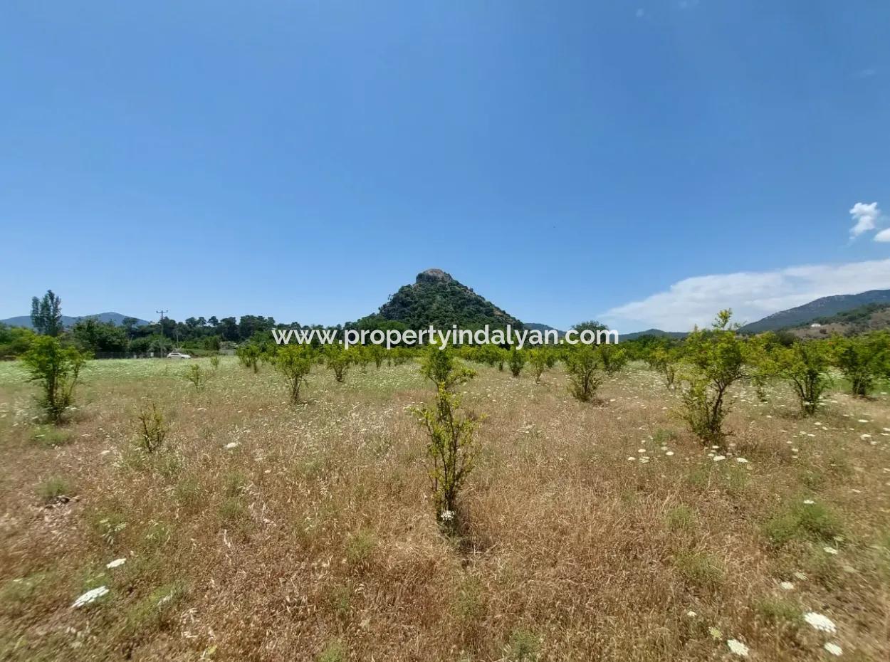 Köyceğiz Çandırda Freistehende Eigentumsurkunde 33.800 M2 Feld Zum Verkauf