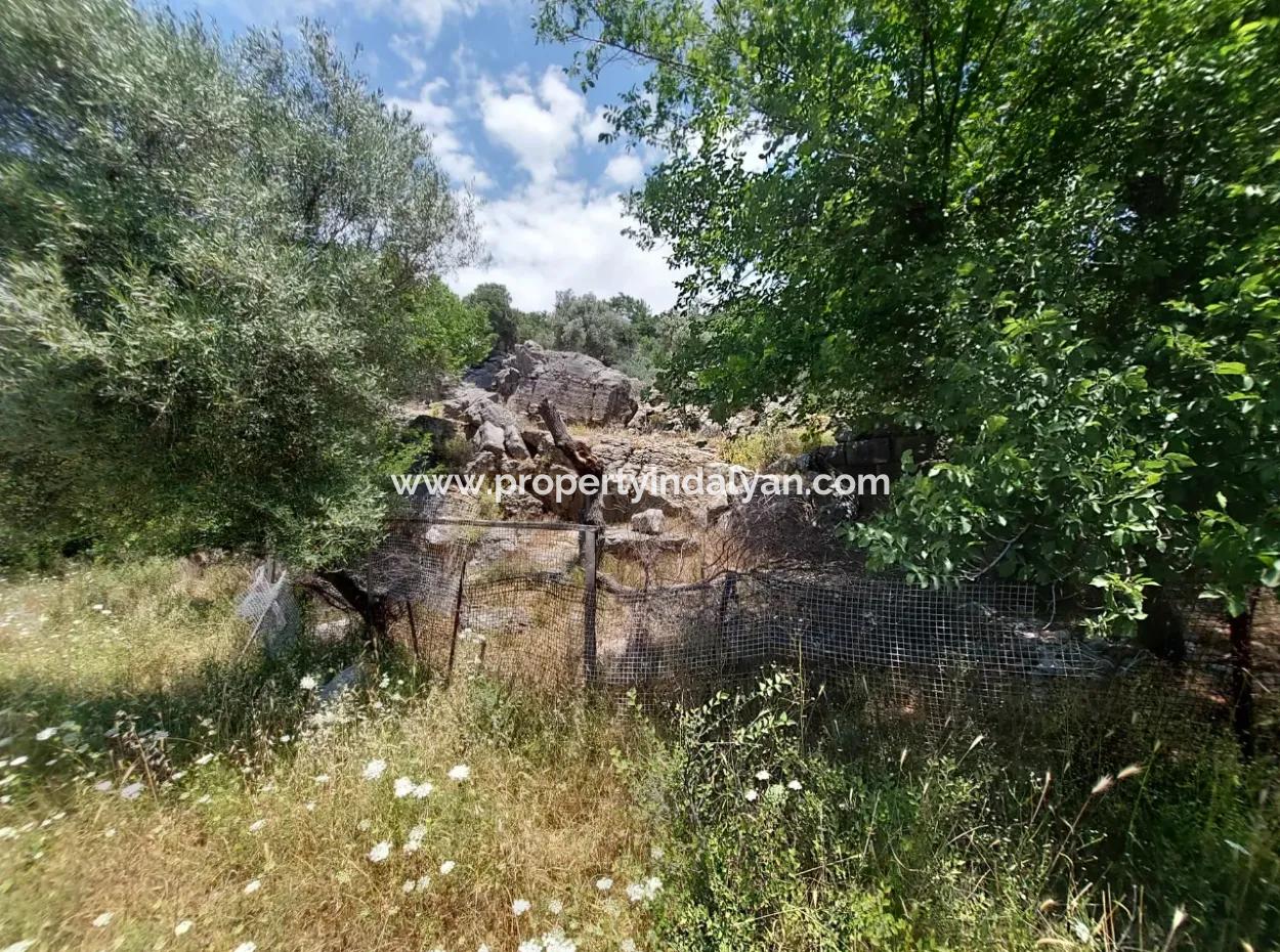 Köyceğiz Çandırda Freistehende Eigentumsurkunde 33.800 M2 Feld Zum Verkauf