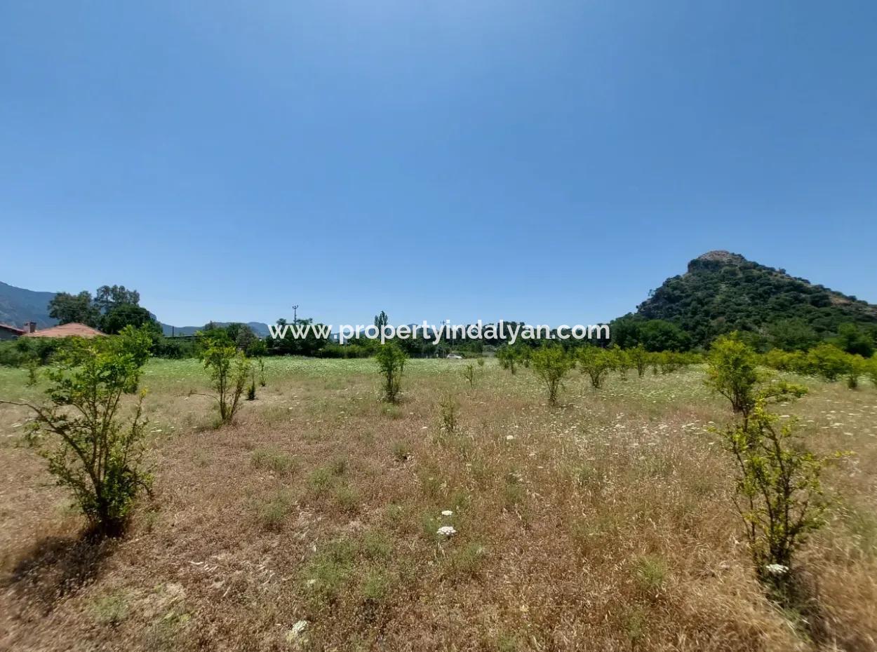 Köyceğiz Çandırda Freistehende Eigentumsurkunde 33.800 M2 Feld Zum Verkauf