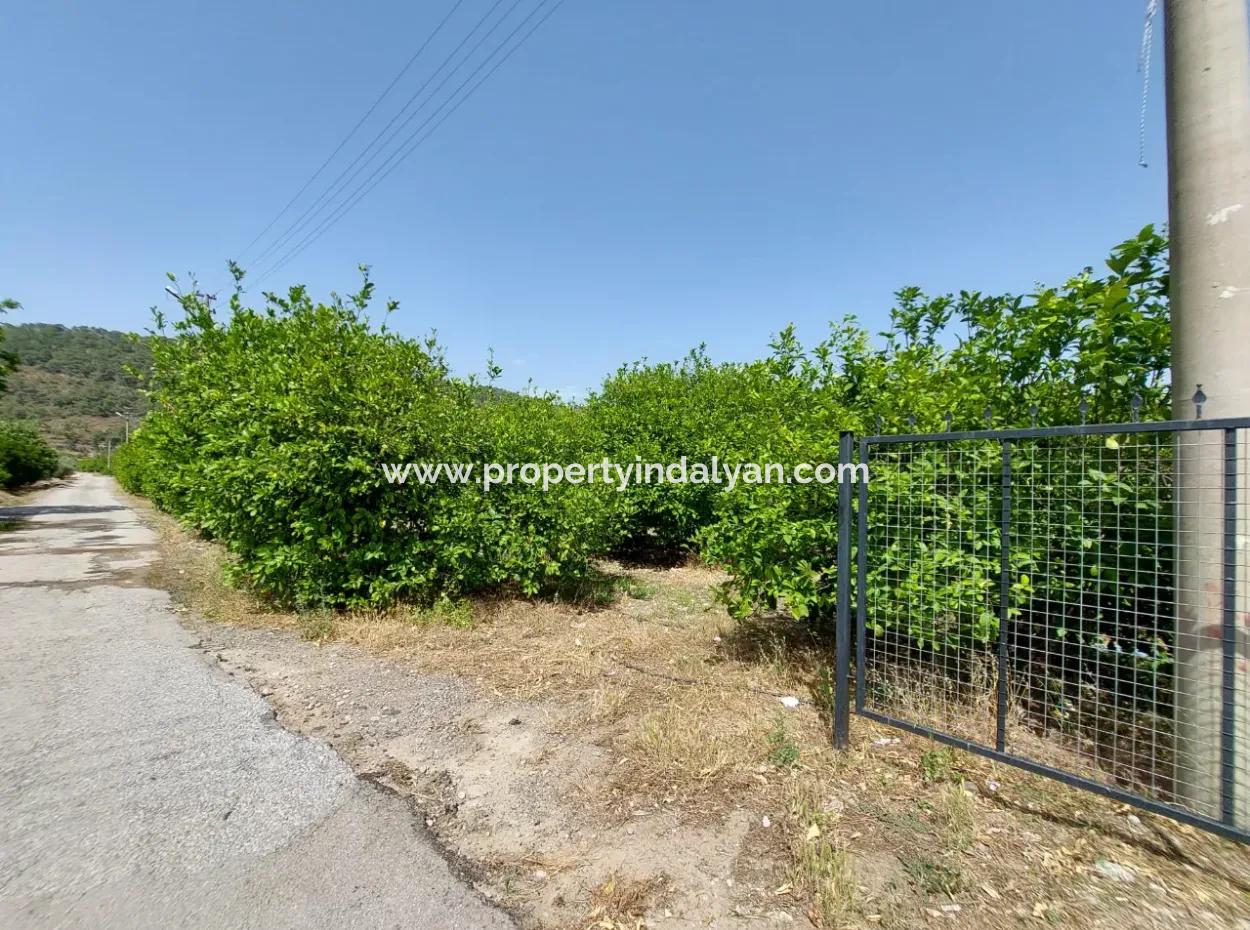 Muğla Ortaca Ekşiliyurtta Wohngebiet Freistehendes 2 000M2 Grundstück Zum Verkauf