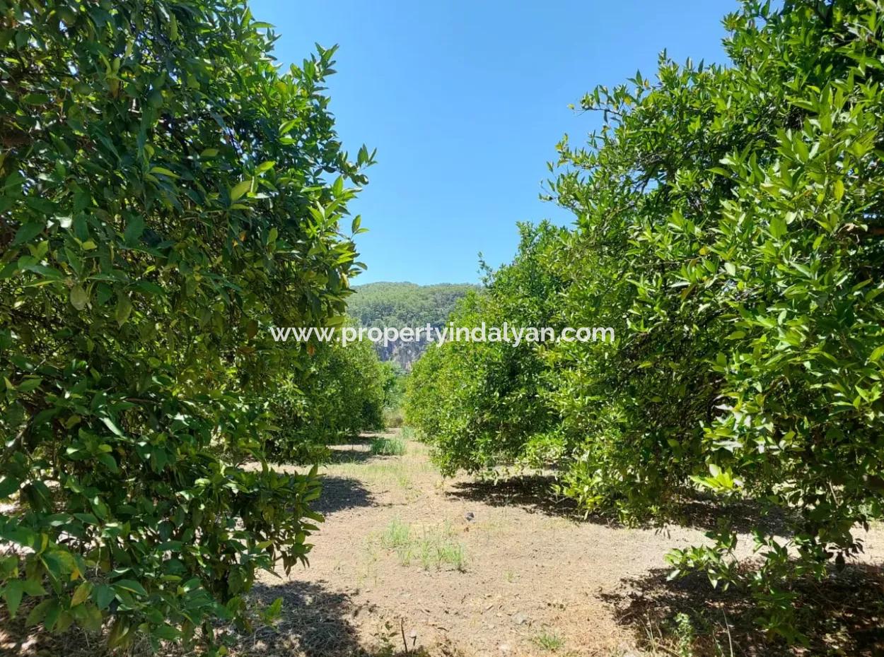 Muğla, Ortaca, Okçular Da, 1015, 69 M2, Freistehendes Grundstück Steht Zum Verkauf.