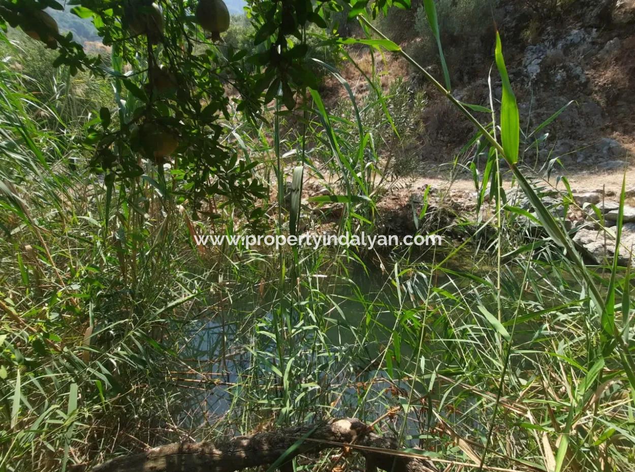 Muğla Dalyanda Mountain Zero, Waterside 10 500 M2 Granatapfelgarten Zum Verkauf