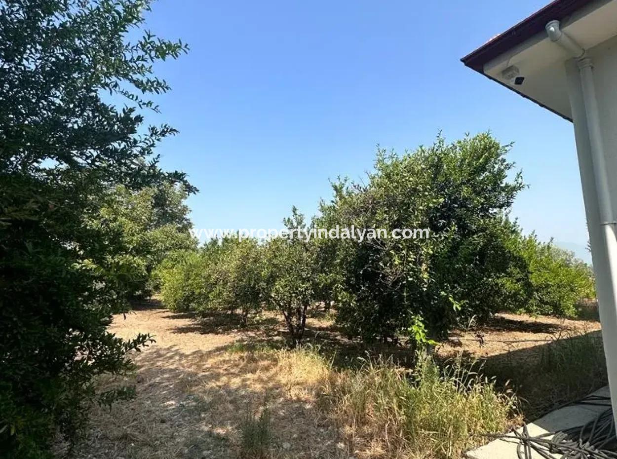 3 1 Möbliertes Einfamilienhaus Zu Vermieten