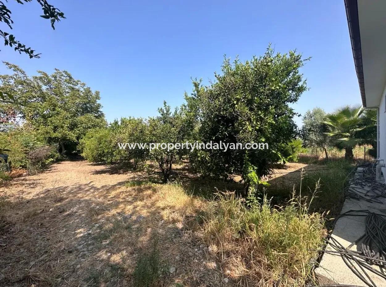 3 1 Möbliertes Einfamilienhaus Zu Vermieten