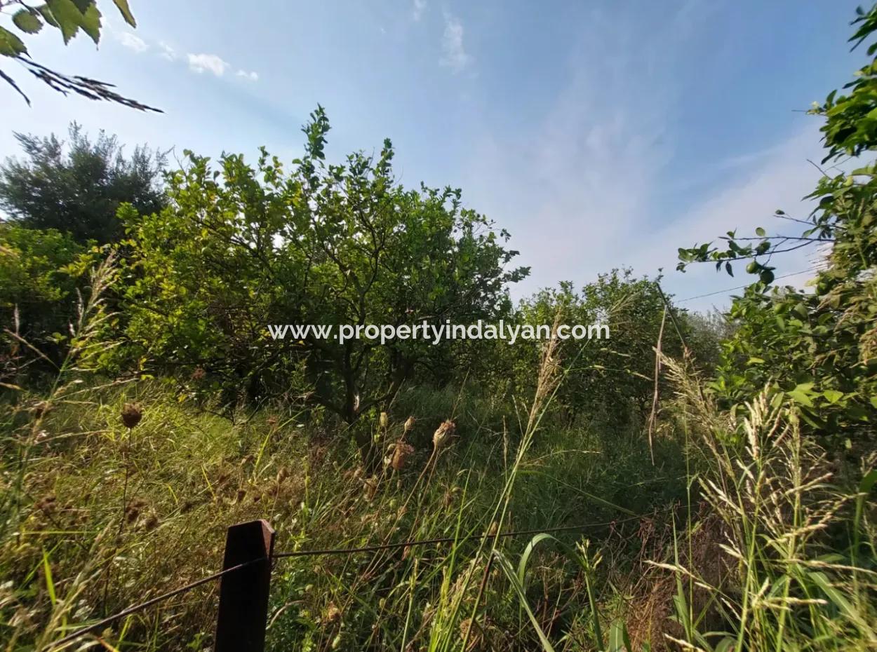 1.000 M2 Land Zum Verkauf In Ortaca Archers