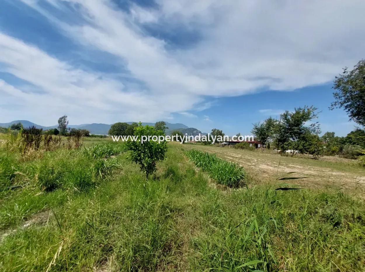 Fruchtbares 1.680 M2 Land Am Berghang Zum Verkauf In Dalyan, Muğla