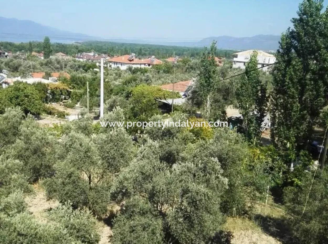 Er Absolvierte Seine Ausbildung An Koycegiz-See-Ansicht-Startseite Für Verkauf