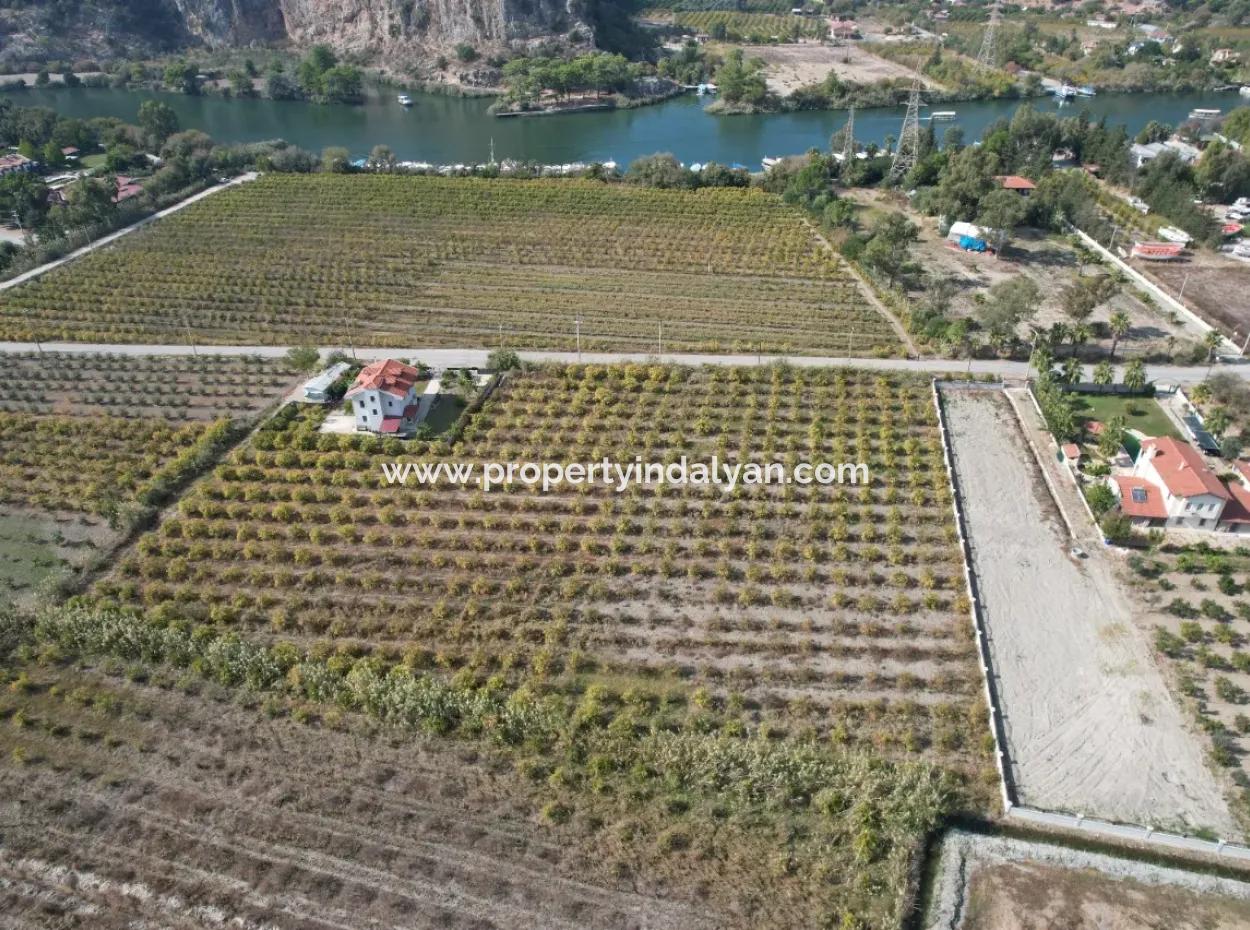 Muğla Dalyanda Kanal 2. Parzelle Freistehend 5.000 M2, 250 M2 Grundstück Mit Baurecht Zu Verkaufen