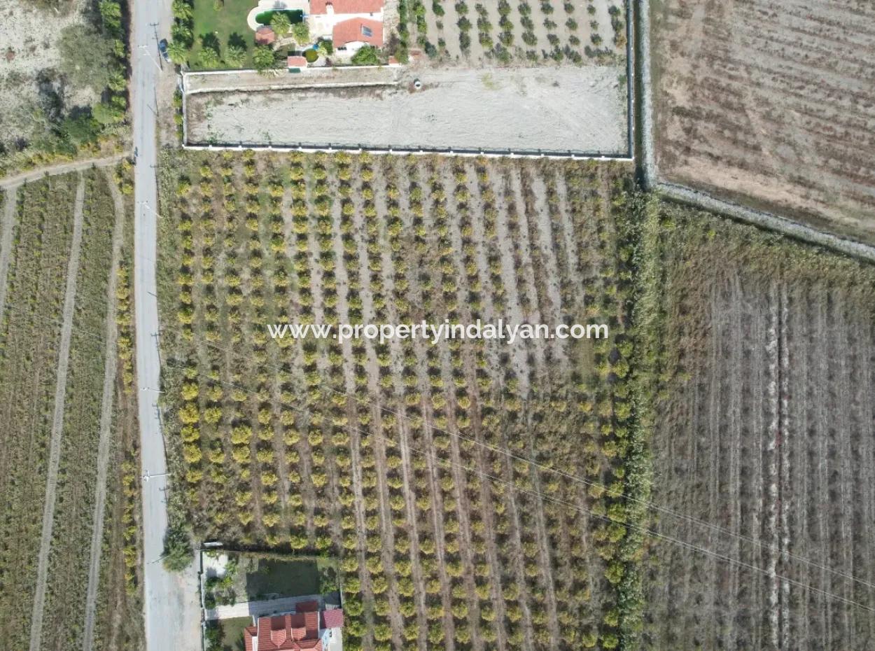 Muğla Dalyanda Kanal 2. Parzelle Freistehend 5.000 M2, 250 M2 Grundstück Mit Baurecht Zu Verkaufen