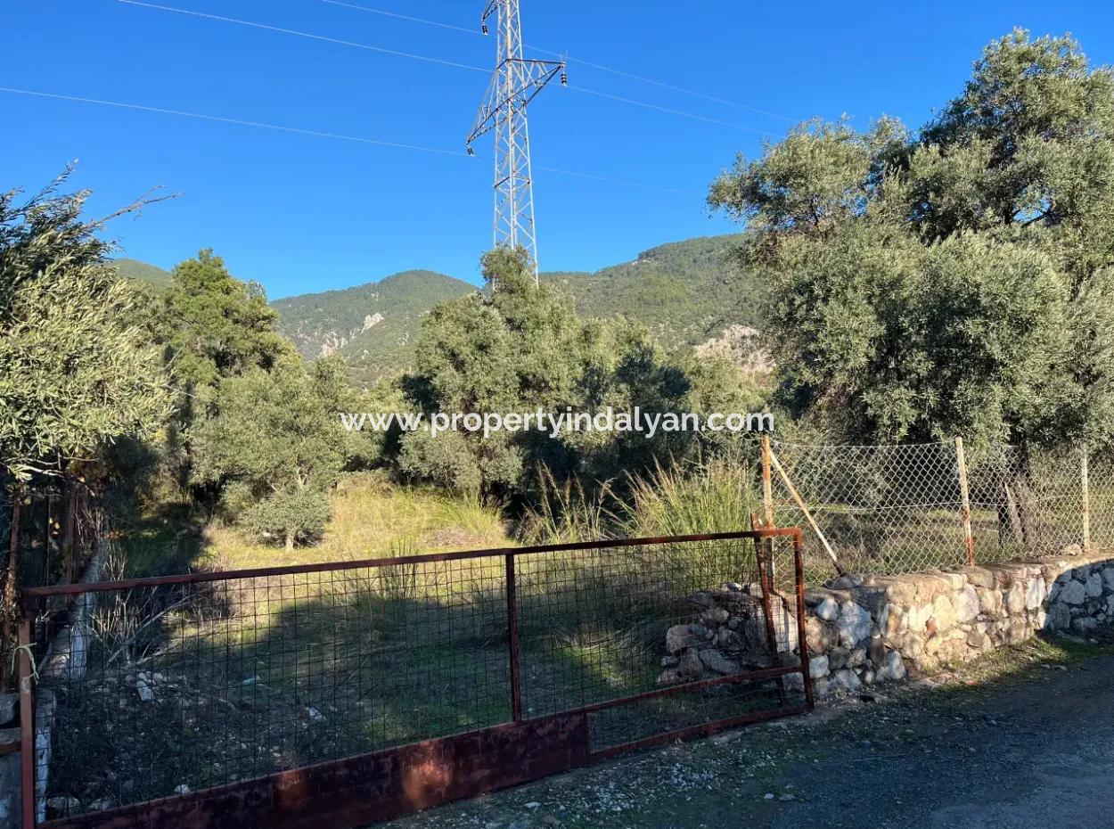 Zu Verkaufen 3.300 M2 Land Zur Deponierung In Muğla, Köyceğiz, Ekincik