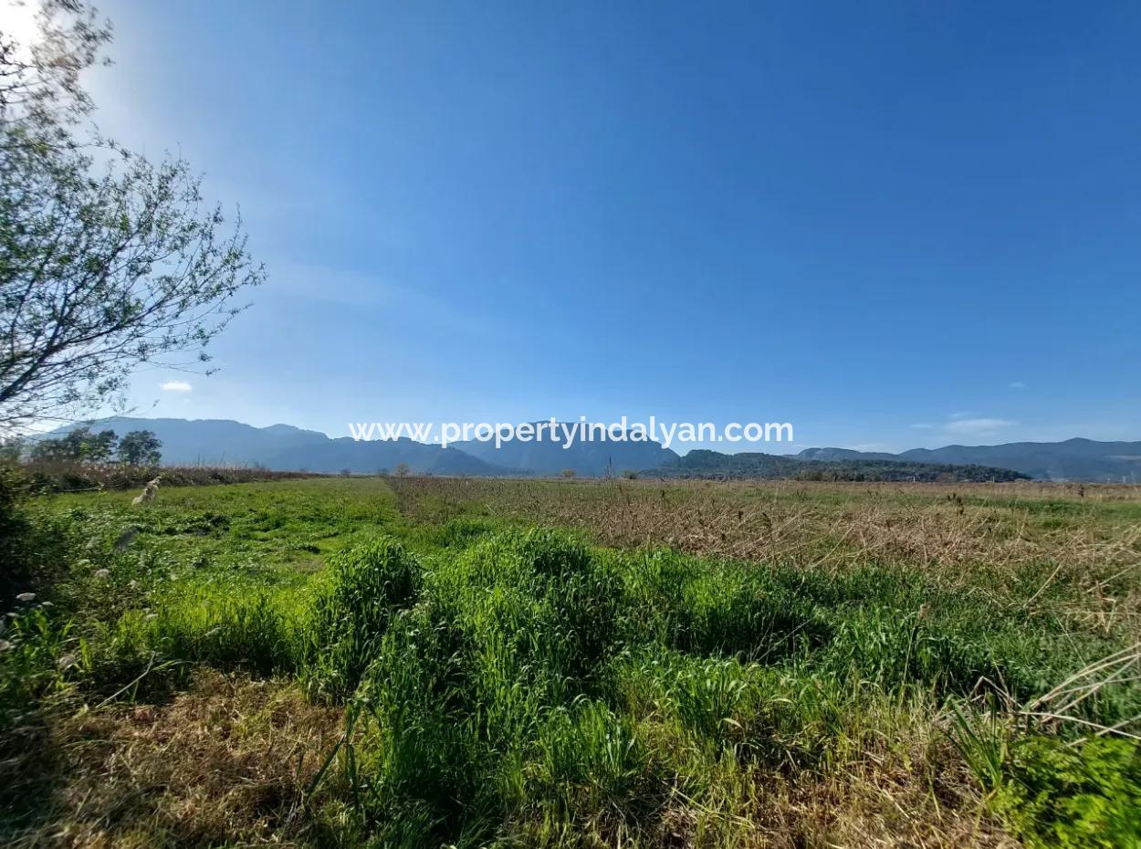 Fruchtbares 6.350 M2 Land Zum Verkauf In Muğla Ortaca Güzelyurt