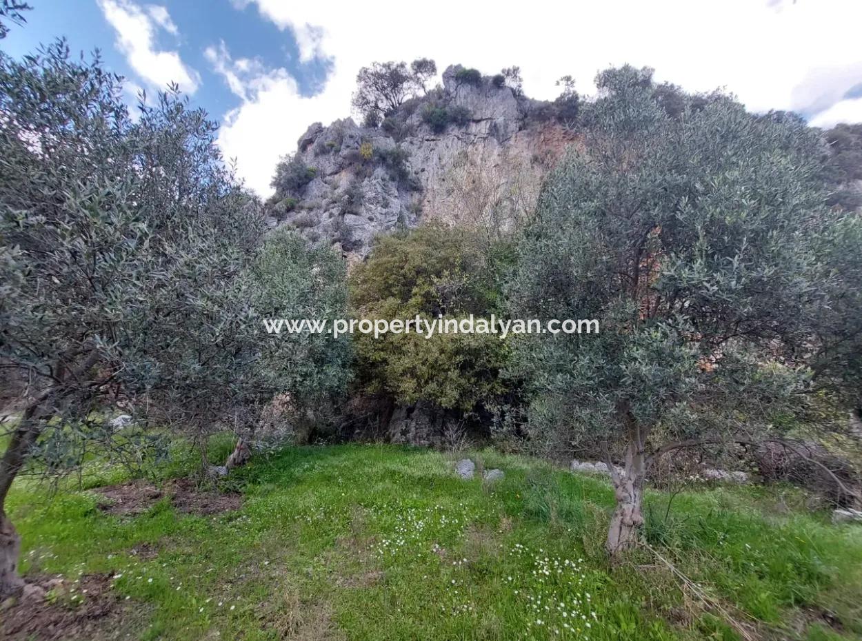 Muğla Köyceğiz Çandırda 3.750 M2 Grundstück Zum Verkauf In Der Nähe Des Dalyan-Kanals