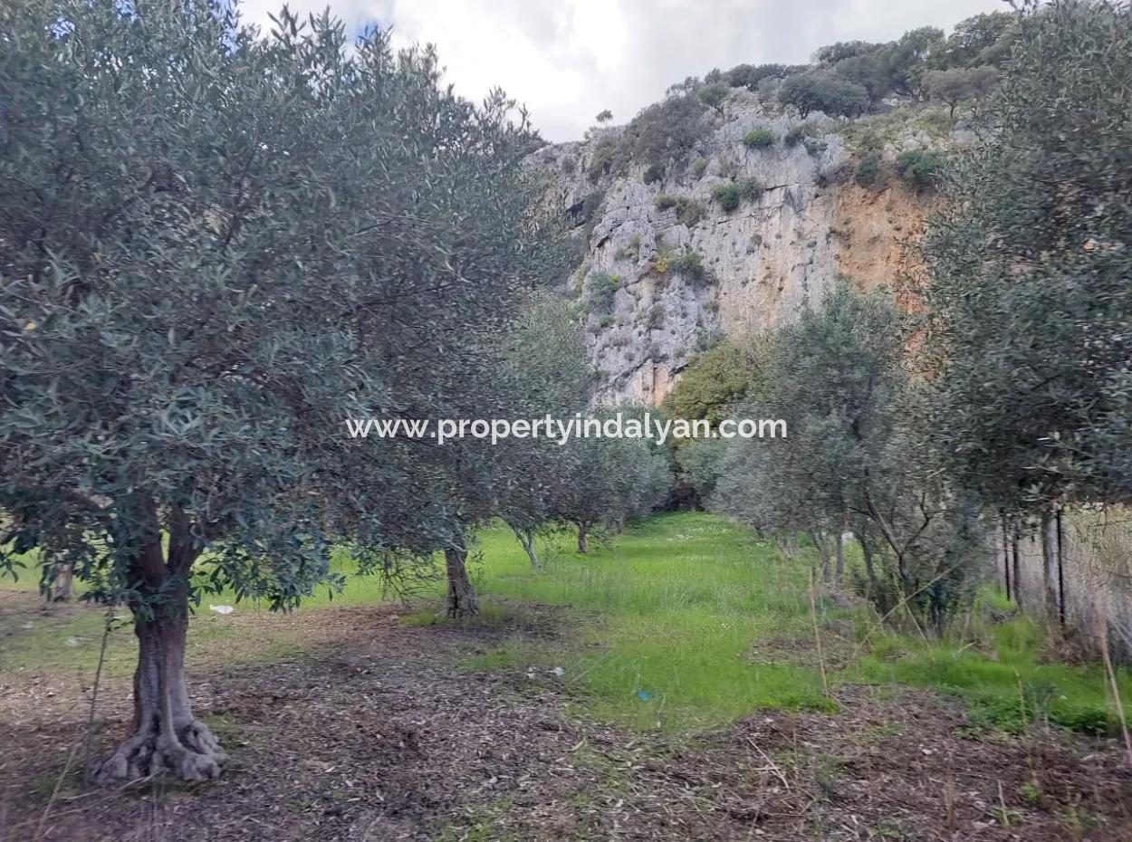 Muğla Köyceğiz Çandırda 3.750 M2 Grundstück Zum Verkauf In Der Nähe Des Dalyan-Kanals