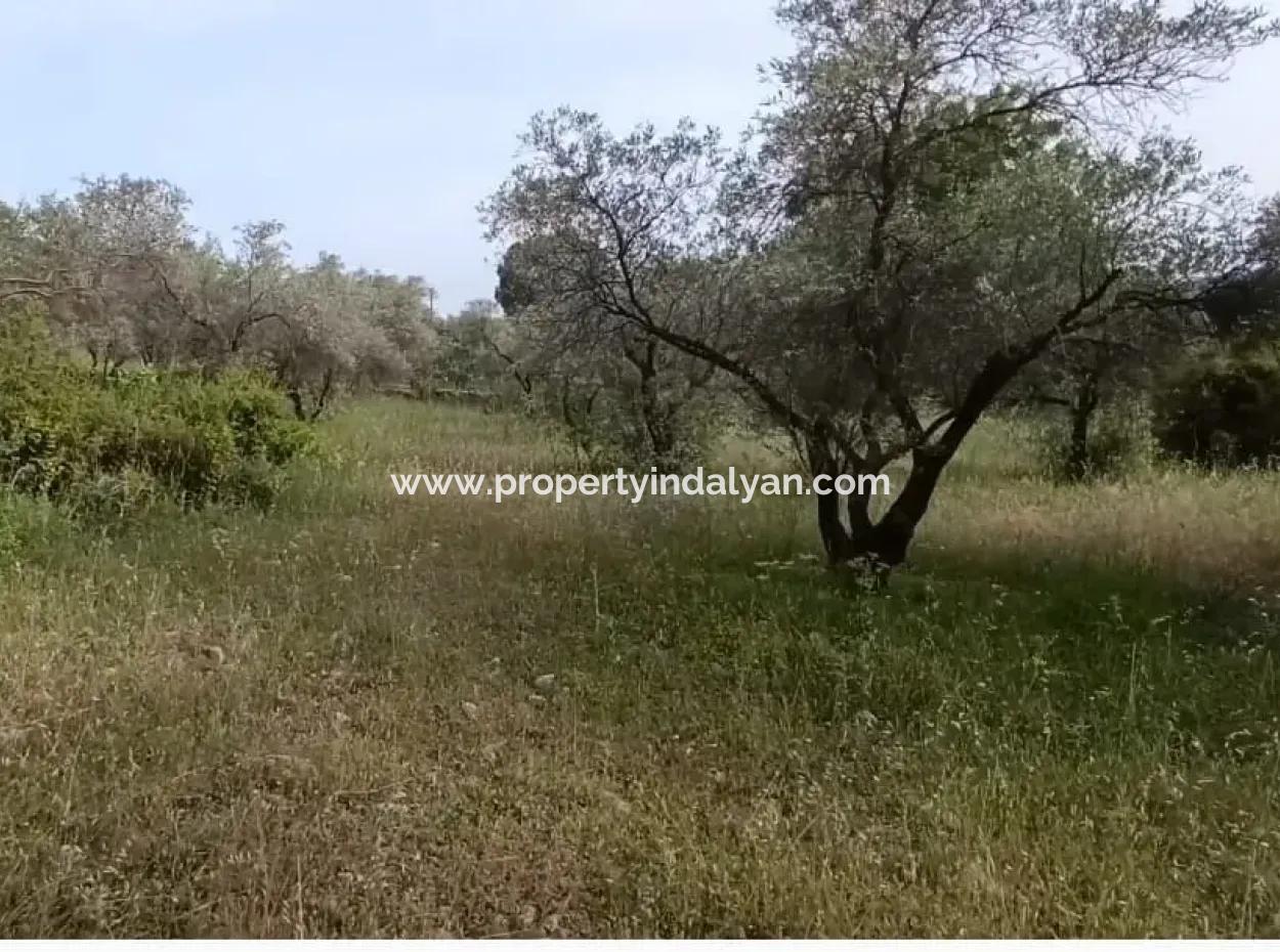 1228 M2 Grundstück Und Kargir Haus Zu Verkaufen In Muğla Menteşe Yaraş, Dorf In Dorf.   