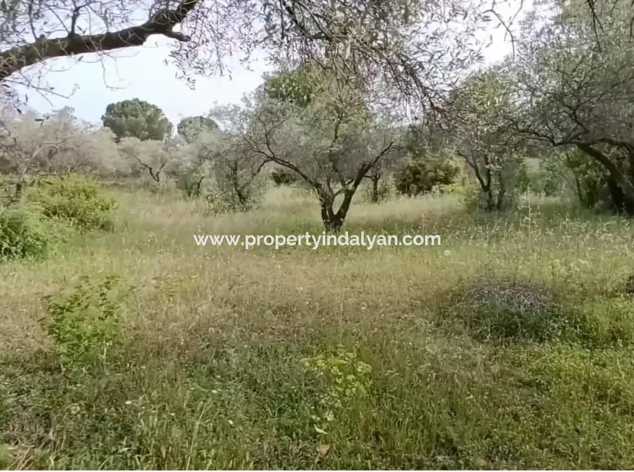 1228 M2 Grundstück Und Kargir Haus Zu Verkaufen In Muğla Menteşe Yaraş, Dorf In Dorf.   