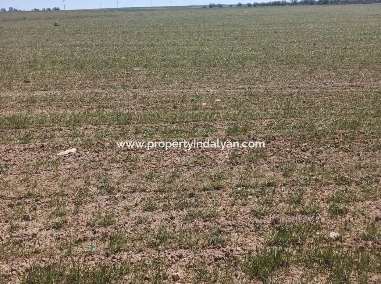Konya Kadinhani Baskuyu 650.000 M2 Schnäppchenland Zum Verkauf