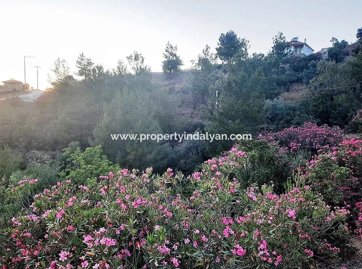 238 M2 Hobbygarten Mit Freistehender Eigentumsurkunde Zum Verkauf In Ortaca Gökbel, Muğla