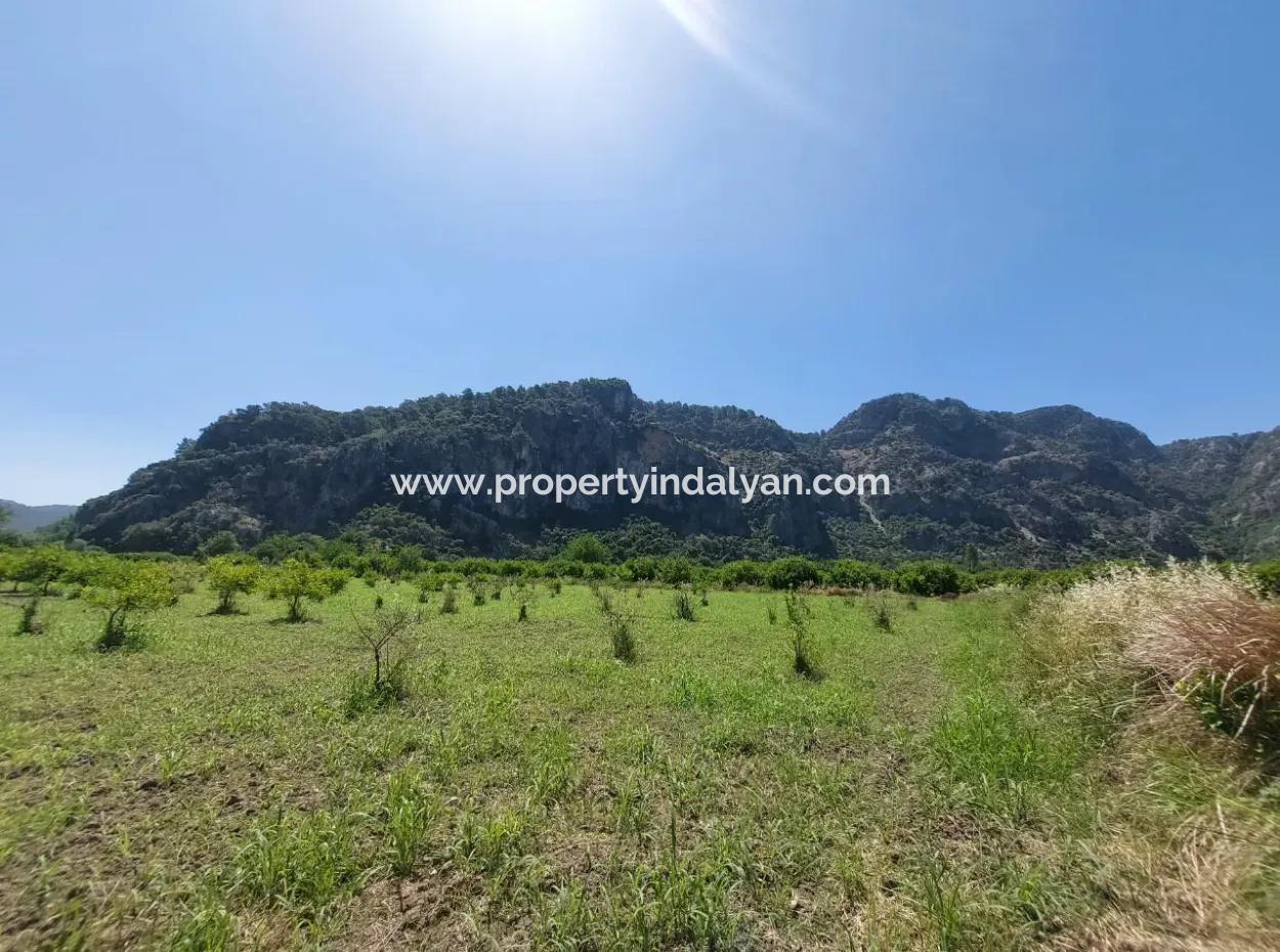 Grundstück Zum Verkauf In Muğla Marmarlı In 5 800 M2 Bebauungsplan, Geeignet Für Investitionen