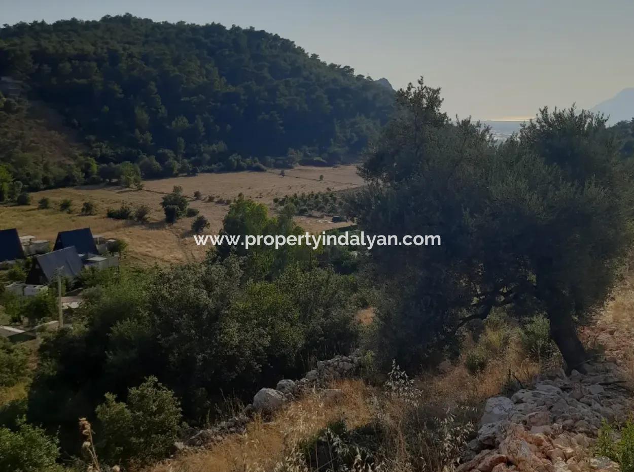 12 300 M2 Land Geeignet Für Investitionen Zum Verkauf In Antalya Kaş Kalkan Islam