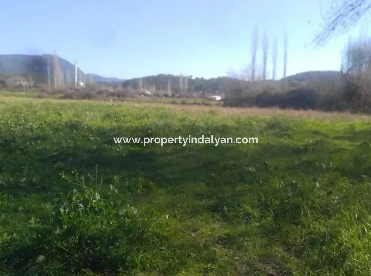Land Zum Verkauf In Bargain Detached Zeytinalani