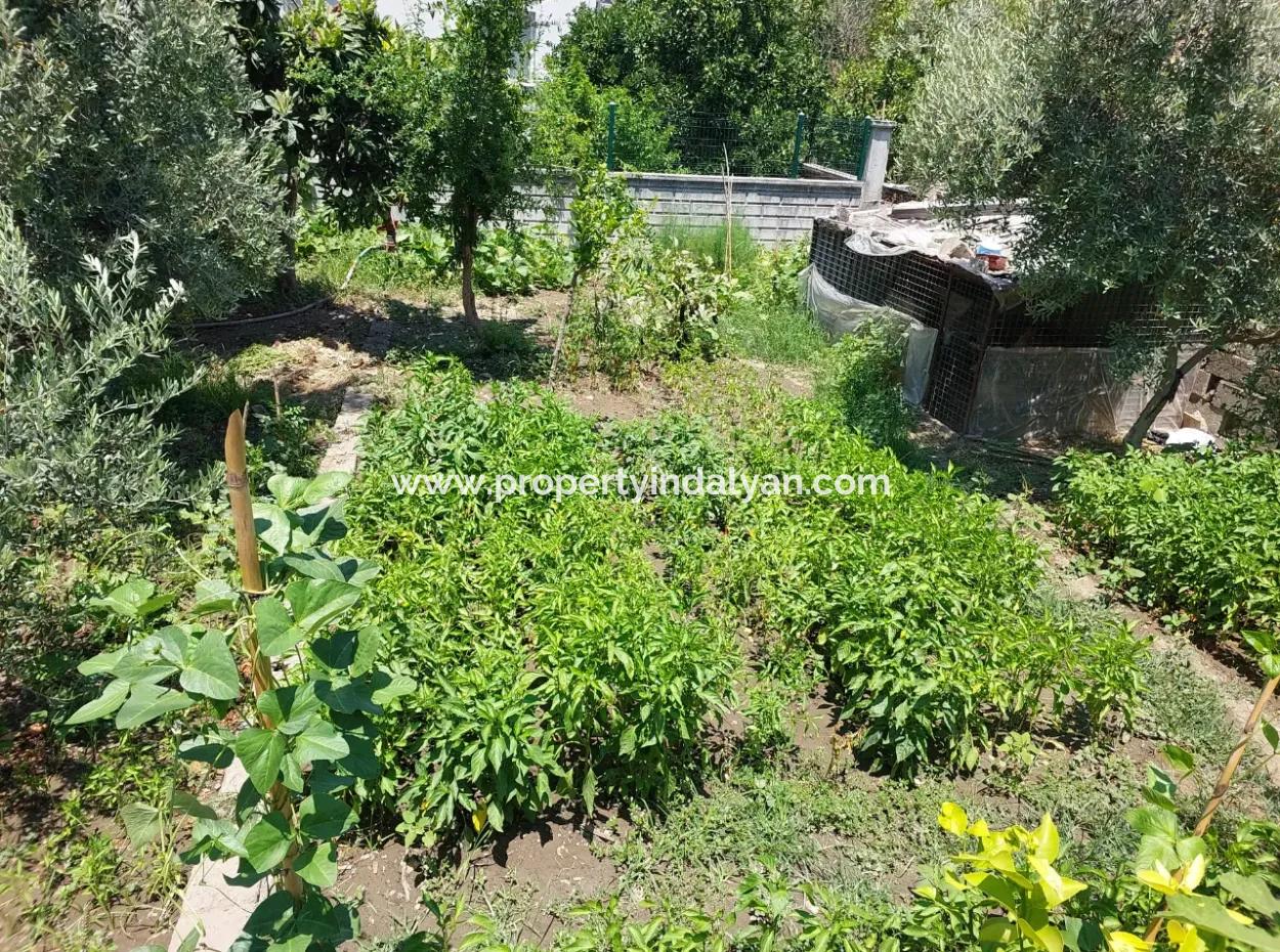 2 Einheiten 2 1 Wohnungen Mit Garten Und Freistehendem Grundstück Zum Verkauf In Dalaman Altıntaş!