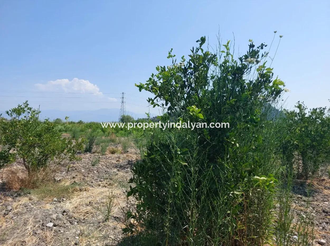 2.800 M² Grundstück Zum Verkauf In Dalyan, Muğla, In Der Nähe Des Dalyan-Kanals