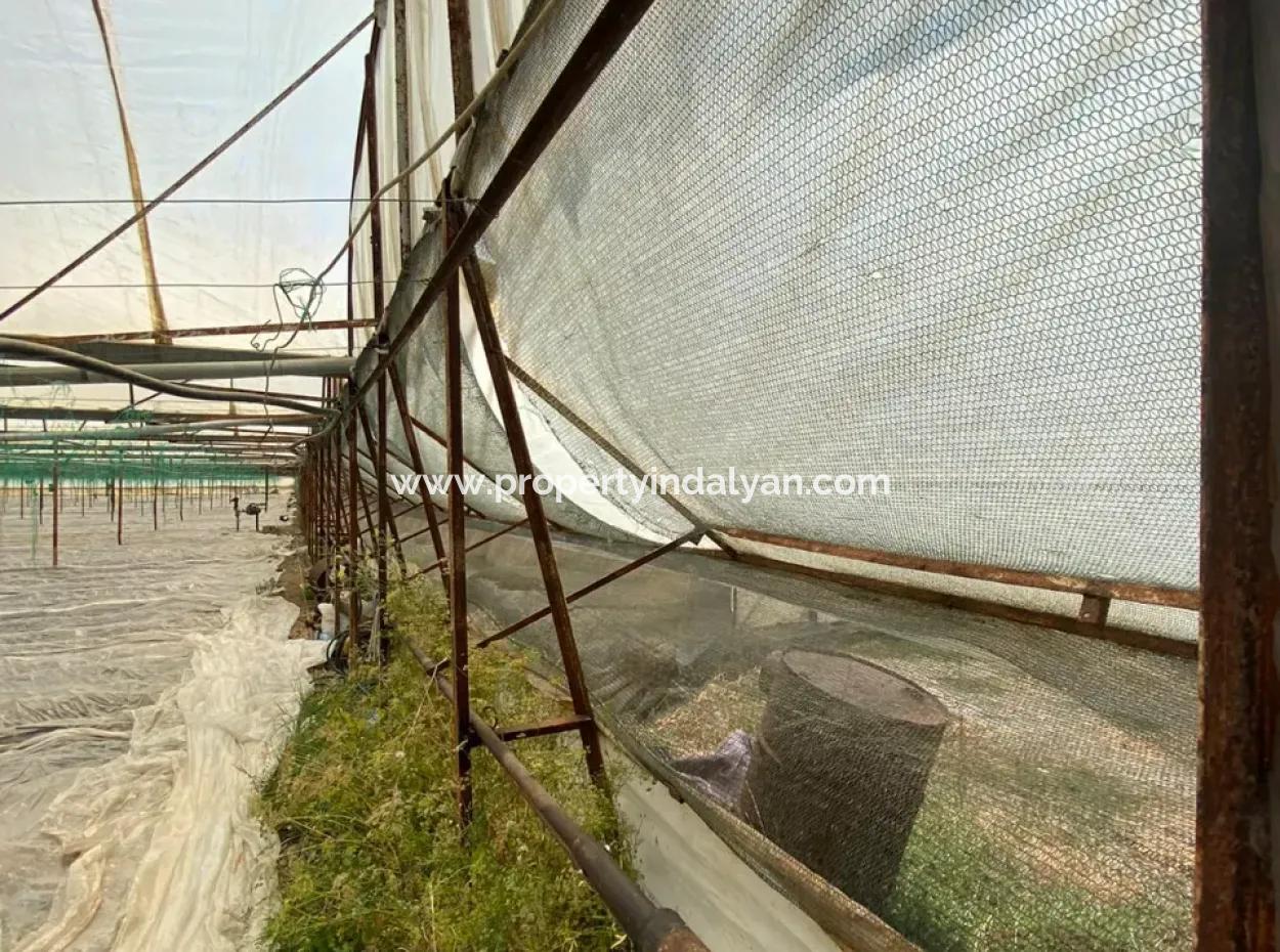 Einfamilienhaus Und Gewächshaus Zum Verkauf Auf Einem 5200 M2 Großen Feld In Ortaca Eskiköy