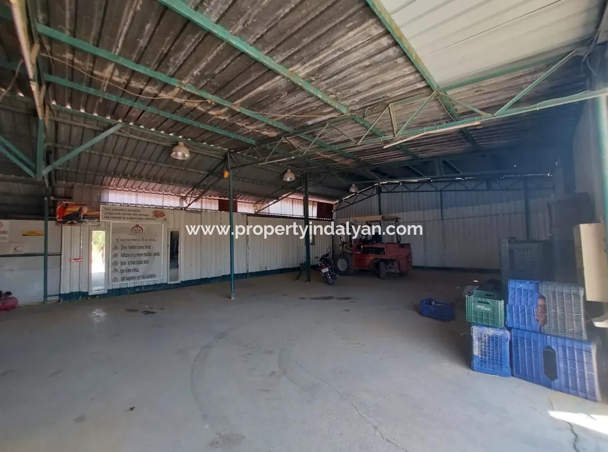 250 M² Voll Genutztes Lager Zu Vermieten In Dalyan, Muğla