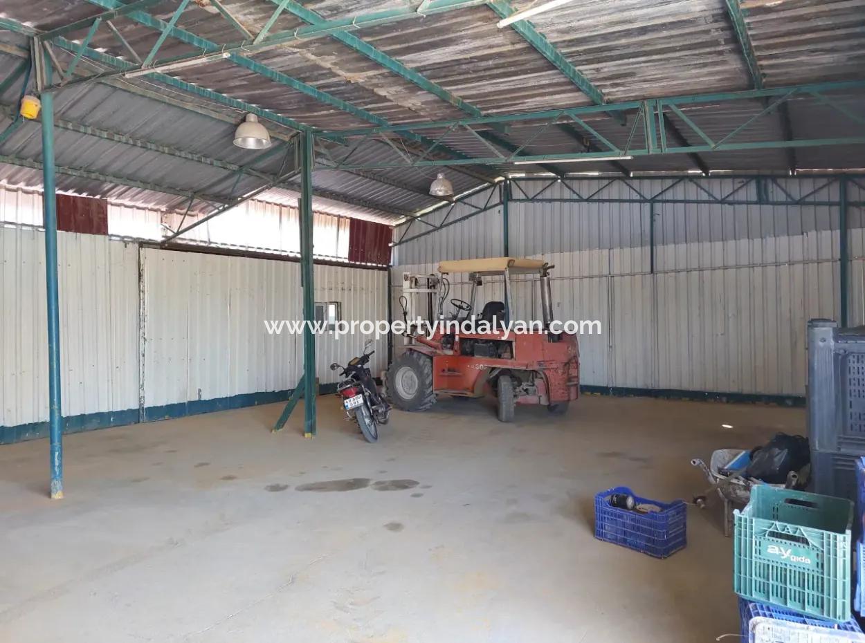 250 M² Voll Genutztes Lager Zu Vermieten In Dalyan, Muğla