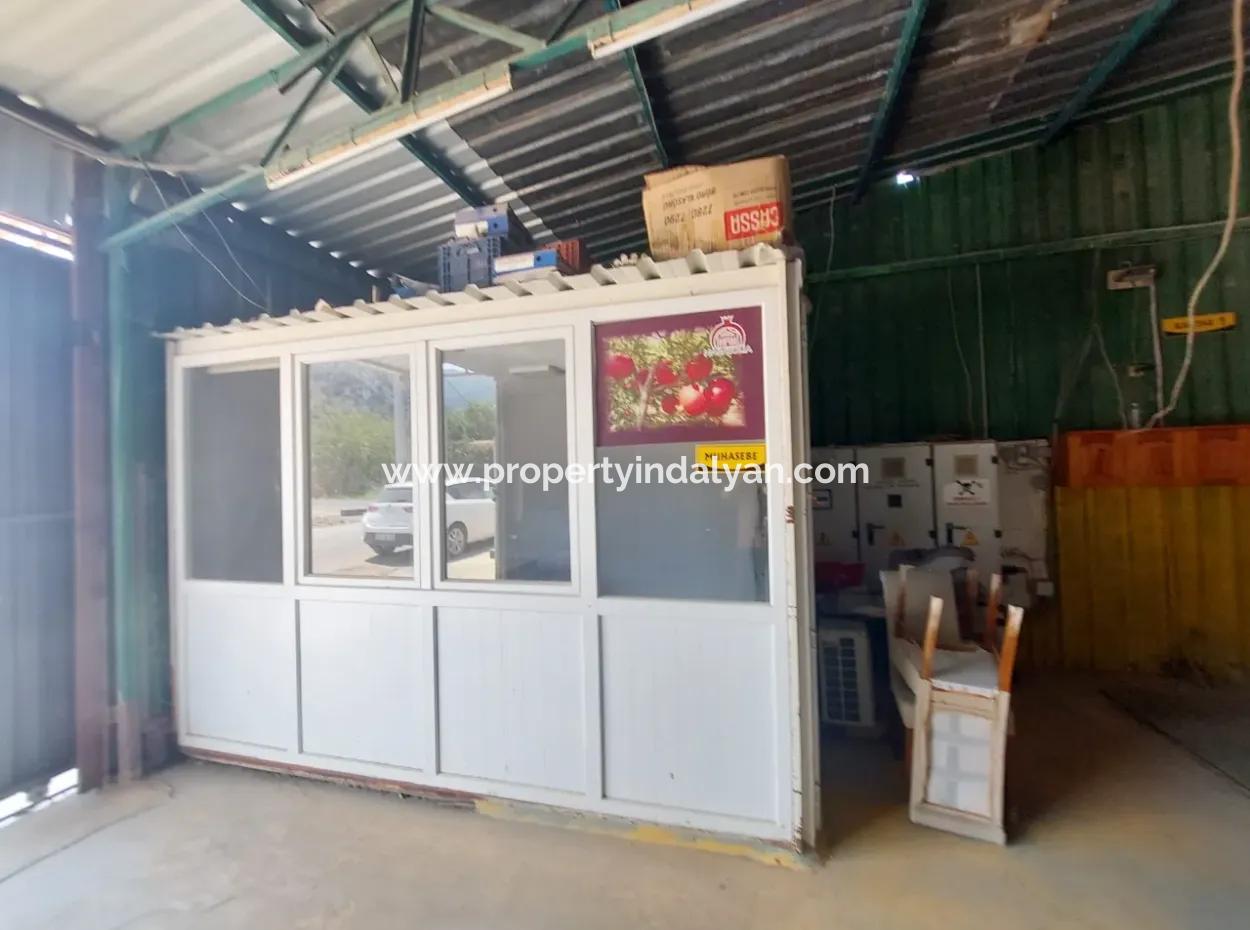 250 M² Voll Genutztes Lager Zu Vermieten In Dalyan, Muğla