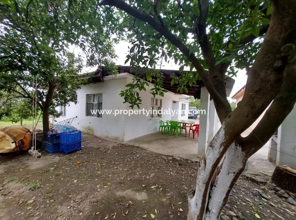 Dorfhaus Und Bauernhof Zum Verkauf Auf 6.650 M² Fruchtbarem Land In Muğla Köyceğiz Pappel