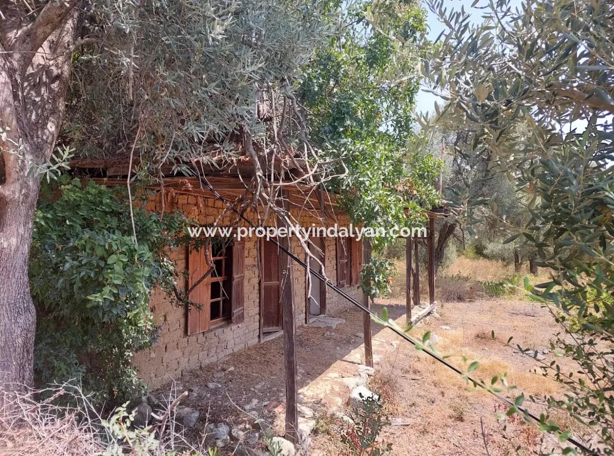 Dorfhaus Mit Seeblick Und Olivenhain Land Zum Verkauf In Köyceğiz Çandır, Muğla