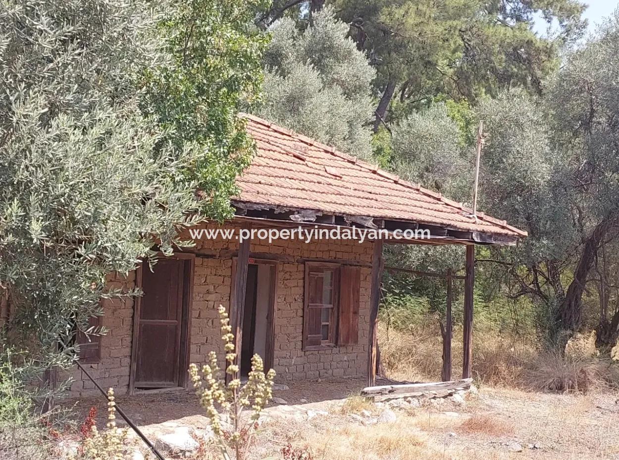 Dorfhaus Mit Seeblick Und Olivenhain Land Zum Verkauf In Köyceğiz Çandır, Muğla