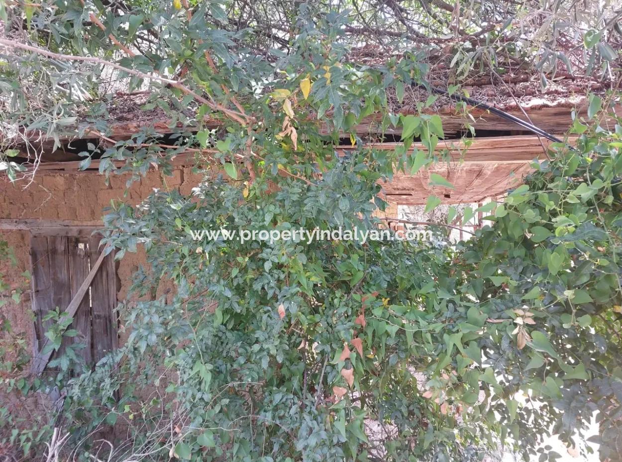 Dorfhaus Mit Seeblick Und Olivenhain Land Zum Verkauf In Köyceğiz Çandır, Muğla