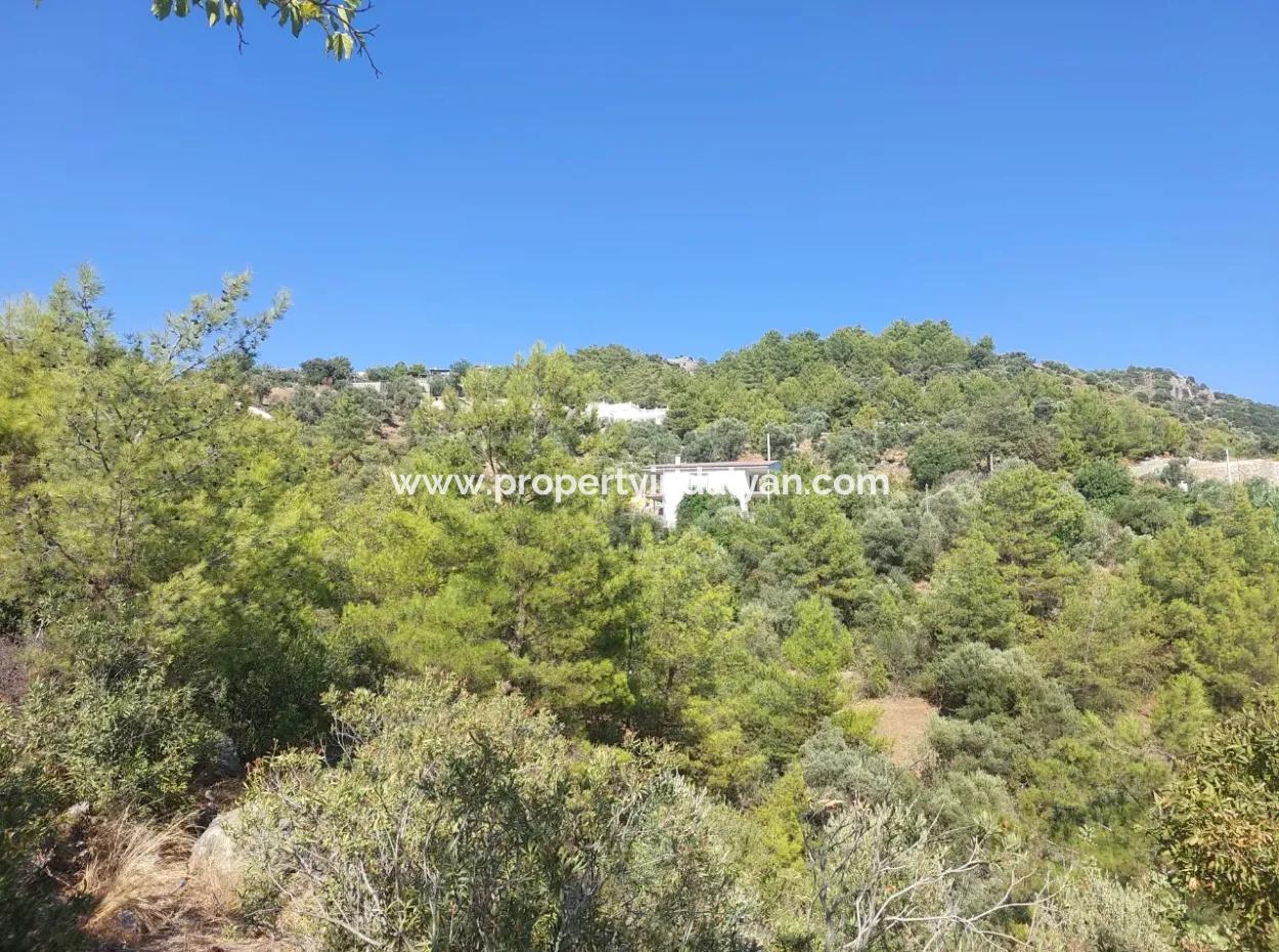 238 M2 Hobbygarten Mit Freistehender Eigentumsurkunde Zum Verkauf In Ortaca Gökbel, Muğla