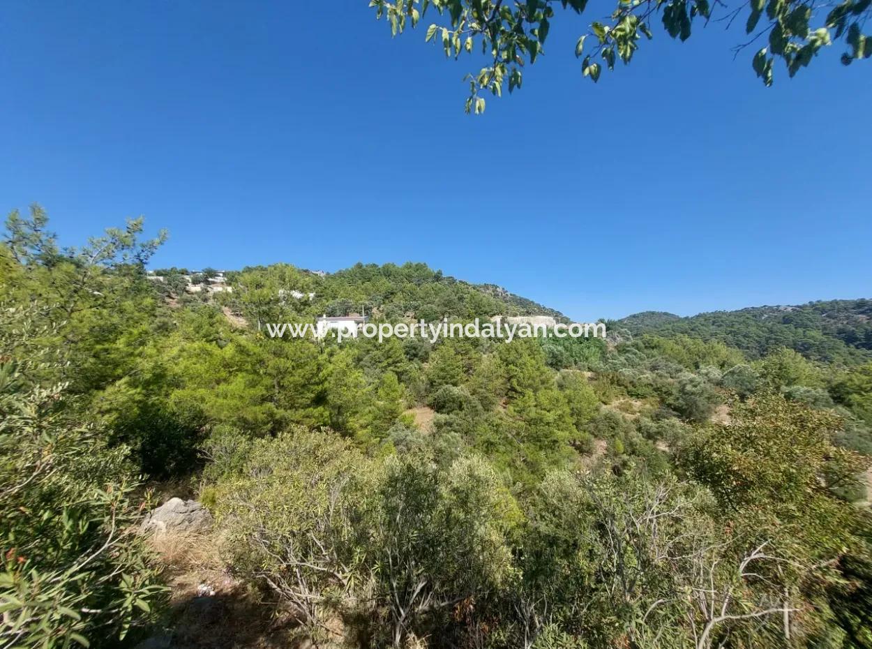238 M2 Hobbygarten Mit Freistehender Eigentumsurkunde Zum Verkauf In Ortaca Gökbel, Muğla