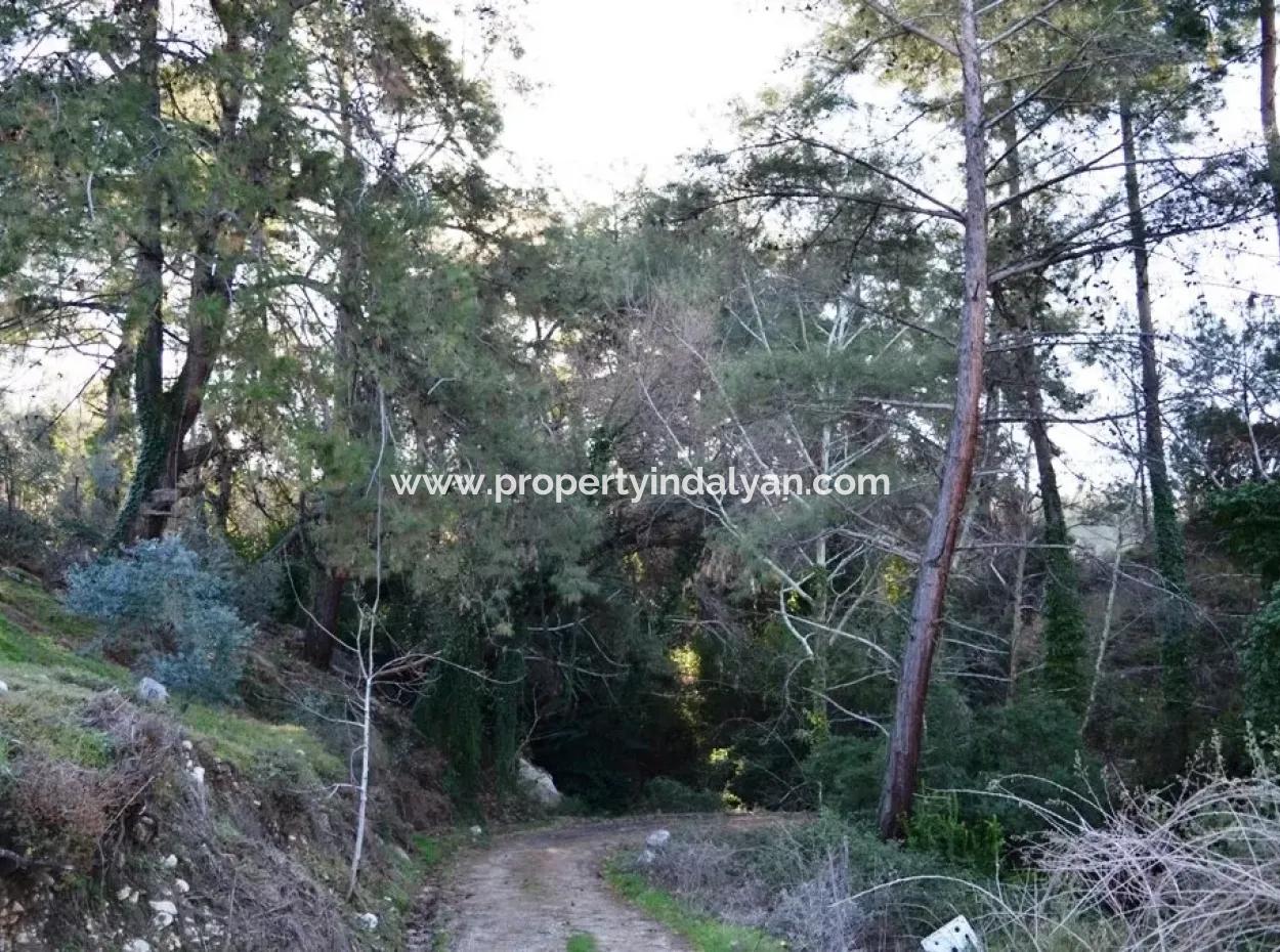 Wertvolle Waterfront Land Zum Verkauf In Tlos Fethiye Kragen