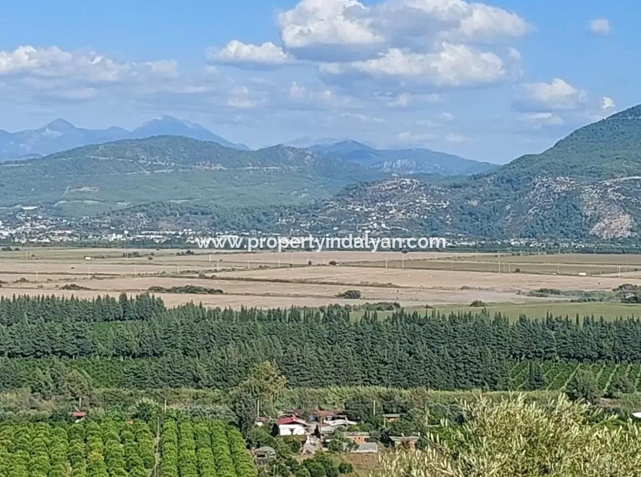 Ortaca Fevziye Blick Auf Das Meer Und Die Natur Schnäppchen Freistehender Olivenhain Zum Verkauf