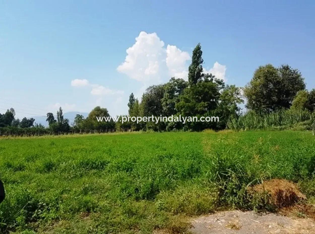 Schnäppchen-Grundstück Zu Verkaufen In Archer