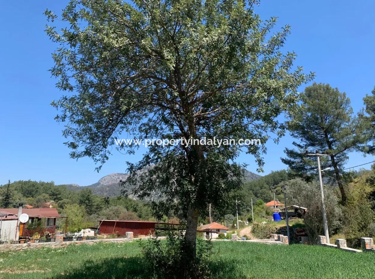 Dalyan Gökbelde 678 M2 Aktie Zum Verkauf