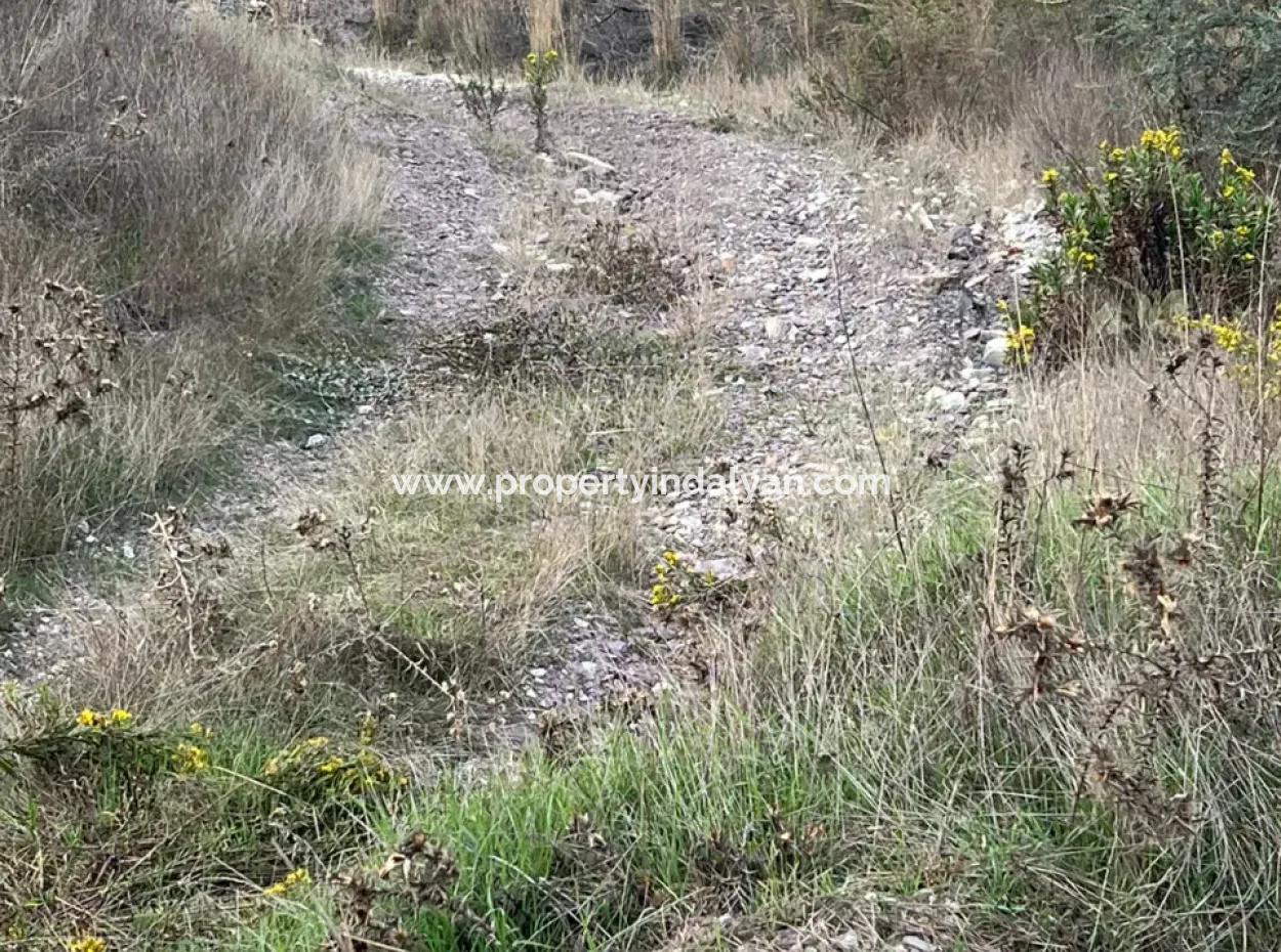 1.025 M2 Qualifiziertes Olivenhain-Land In Muğla Milas Çakıralan Steht Zum Verkauf