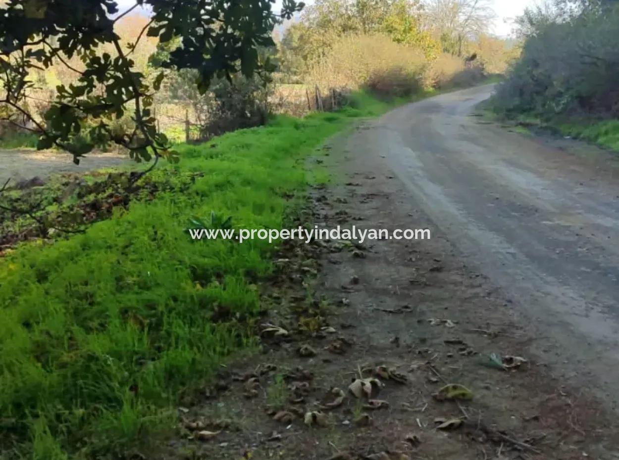 Schnäppchen 6.000 M² Land Zum Verkauf In Muğla Ula Karabörtlende
