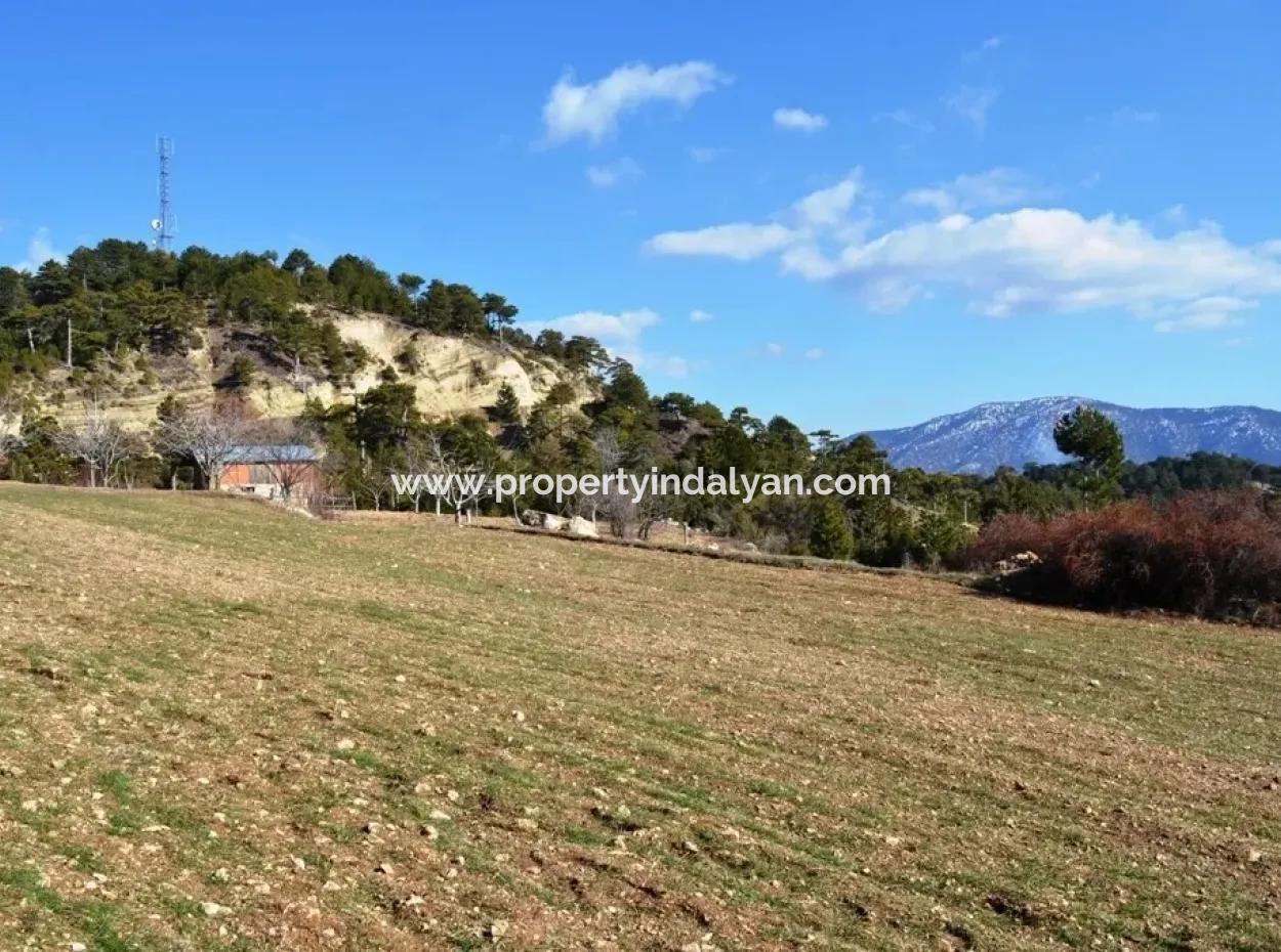 Stein-Haus Auf St. John ' S Island Und Grundstücke Zum Verkauf Oder Tauschen