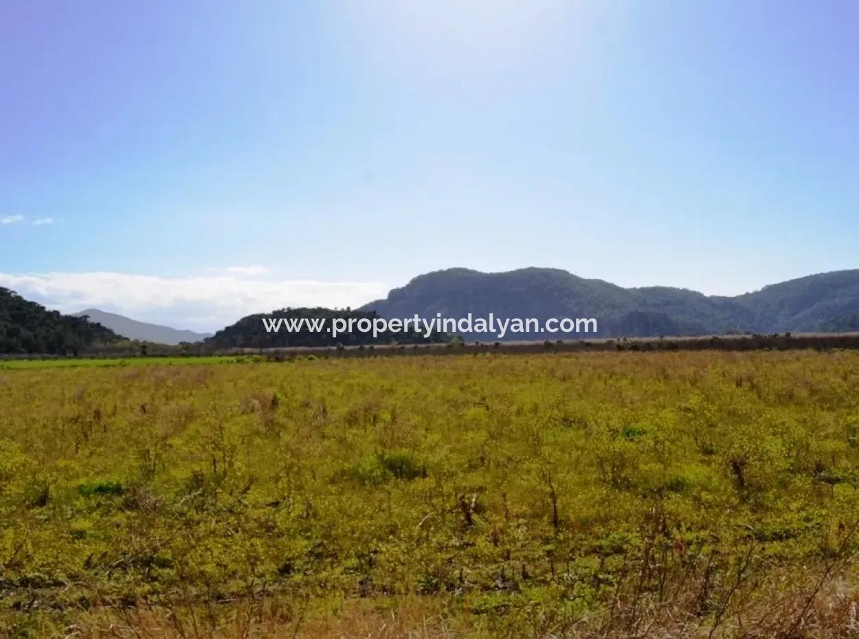 Bauernhof Zum Verkauf Schnäppchen In Dalyan