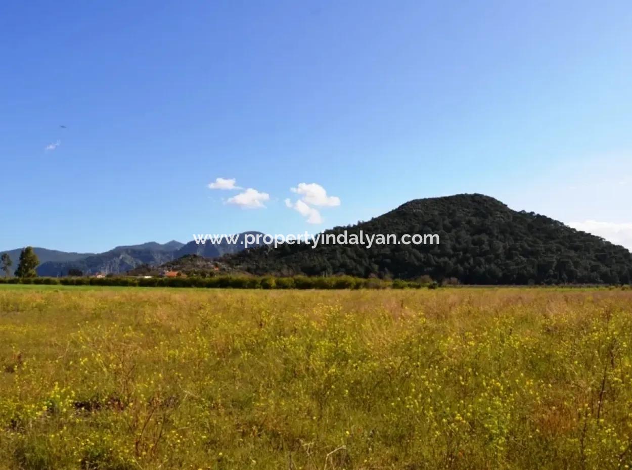 Bauernhof Zum Verkauf Schnäppchen In Dalyan